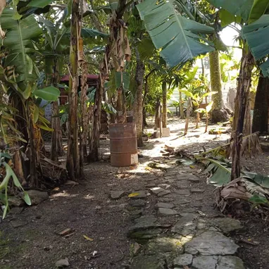 Vendo 2 casas y un apartamento - Img 123858900
