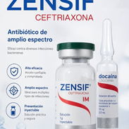 Ceftriaxona (rocephin) 1mg - Img 56611939