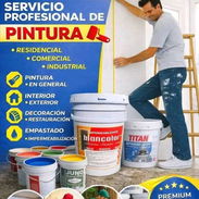 Pinturas con cara rías - Img 56511832