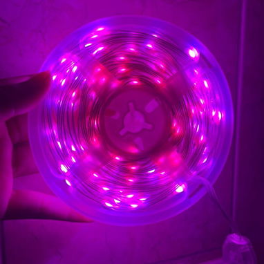 Guirnalda de luces led  10 metros (Son engomadas resistentes al agua) Traen su mando y se  sincronizan al móvil mediante - Img 122767594