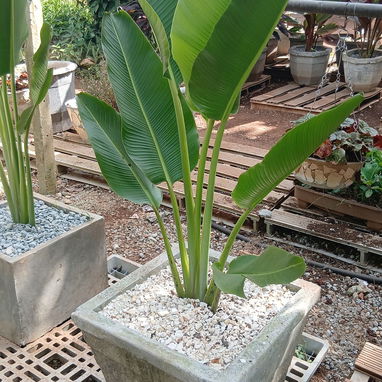 Servicio de jardinería - 4/4