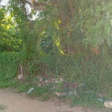 Venta de terreno en Guanabo - 9/9