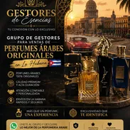 🚨💰 BUSCAMOS GESTORES DE VENTAS 💰🚨 - Img 55638992