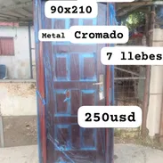 Puerta cromada y teja Plastica - Img 58042468