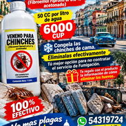 Veneno para Chinches de cama. FIBROEMUL ACETONADO AL 50 % . 50 CC POR LITRO DE AGUA PREPARADO YA CONGELA LAS CHINCHES - Img 58248700
