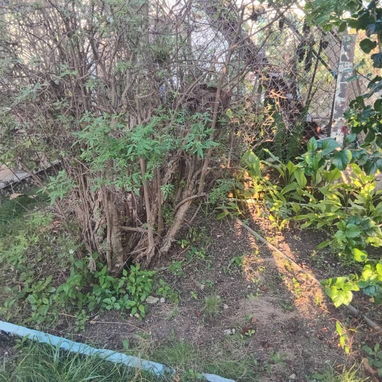 *$11.000usd En venta casa en Arroyo  Naranjo, Los pinos.. cerca del policlínico  Cuadra bastante tranquila, cerca de  ho - 8/10