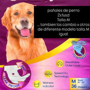 Culero para perros talla M - Img 56276009