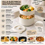 Sartén 🥘 Eléctricos para Ecoflow 60Usd - Img 58017729