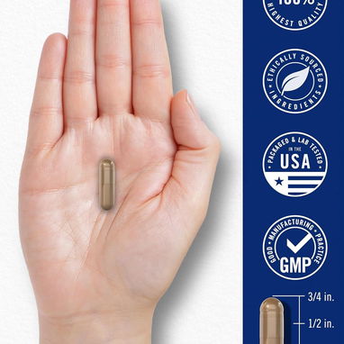 APOYO NATURAL PARA TU BIENESTAR - Pastillas para la circulación Carlyle - 4/5