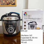 Olla Reina SJT - Img 56419297