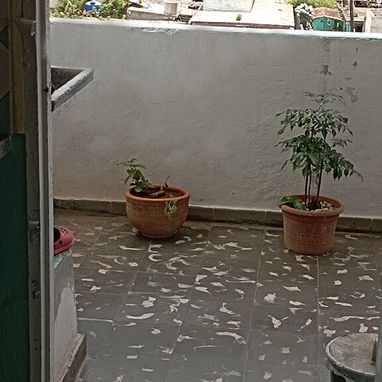 Permuto apartamento en Víbora Park - Img 122361921