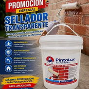 ////Sellador trasparente para piedras maderas// - Img 56622546