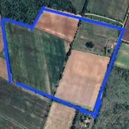 Se vende finca ubicada en limonar. Matanzas, consta con un total de 14 hectareas todo su perimetro esta bien cercado y l - Img 56039694