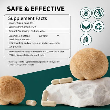 Melena de León 500mg (Rolphood · 60 cápsulas) - 4/7