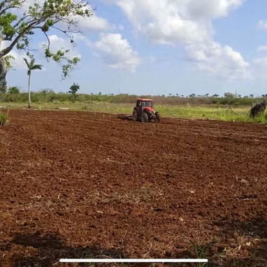Finca en Venta - 5/10