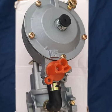 CARBURADORES PARA PLANTAS ELÉCTRICAS - 2/4