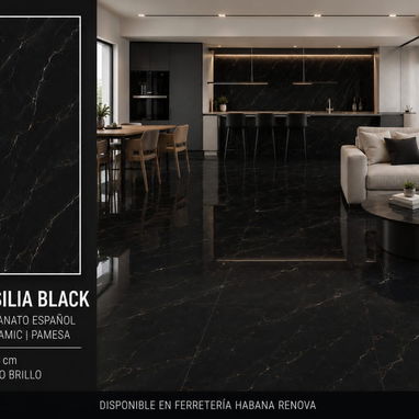 Porcelanato español negro con brillo - Img 125675614