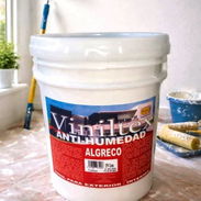 Vinil Viniltex 19 y 10 litros - Img 54313976