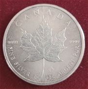 Moneda de plata 999 pesa 31.10 gramos de nacionalidad Canadiense - Img 45898297