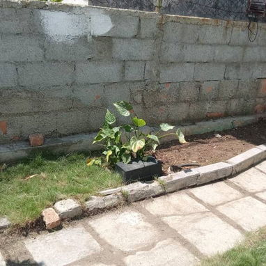 Servicio de jardinería 👩🏼🌾 - Img 127441445