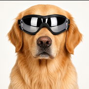Gafas Negras Para Perros - Img 57206118