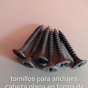 Tornillos - Img 56271321