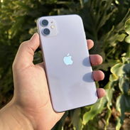 iPhone 11 - Img 55990488