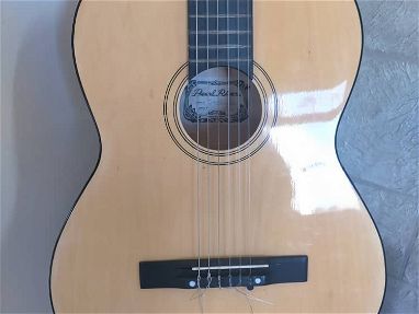Guitarra Pearl River - Img main-image-45572583