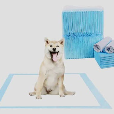Tapetes de entrenamiento para perros talla XL - Img 114714286