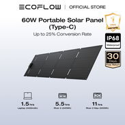 Paneles solares Ecoflow - Img 57173550