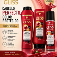 KIT GLISS, CABELLO PERFECTO, COLOR PROTEGIDO - Img 55781696