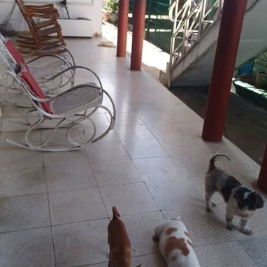 Casa en venta - 7/10