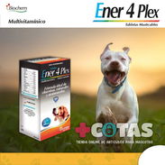 Ener 4 Plex vitaminas para perros - Img 51284202