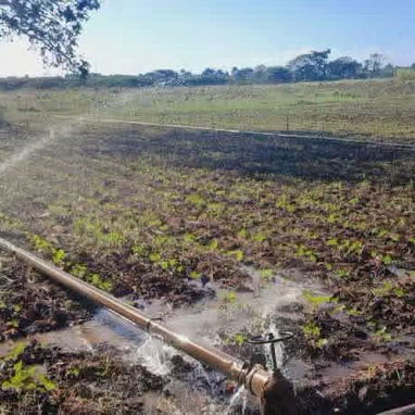 Finca en Venta - 8/10