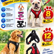 Arnés y correas para mascotas - Img 57063574